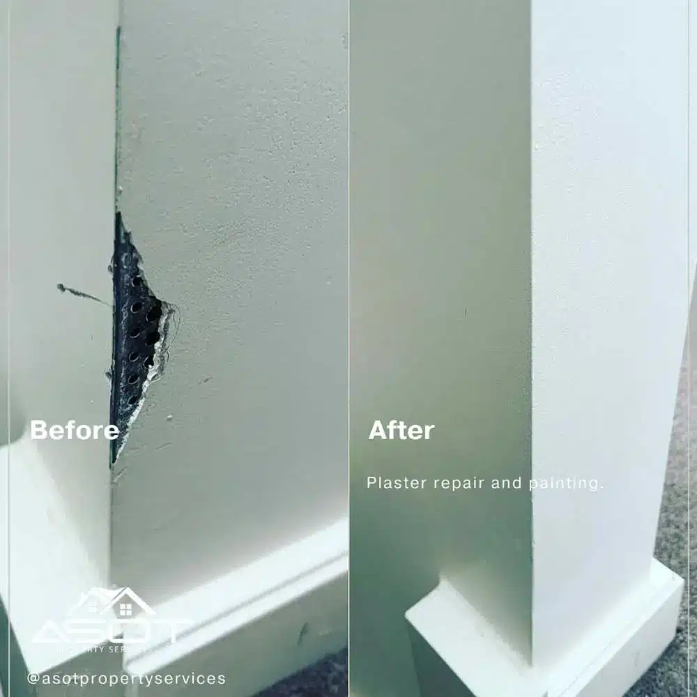Plaster repair and Painting